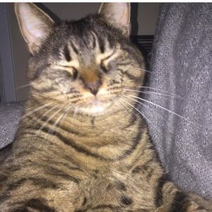 Meet your Posher, Simone